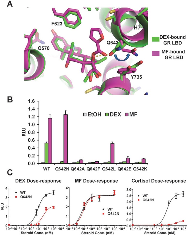 Figure 5