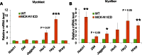 Figure 6—figure supplement 1.