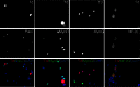 Figure 1—figure supplement 1.