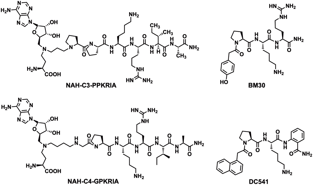 Figure 4.