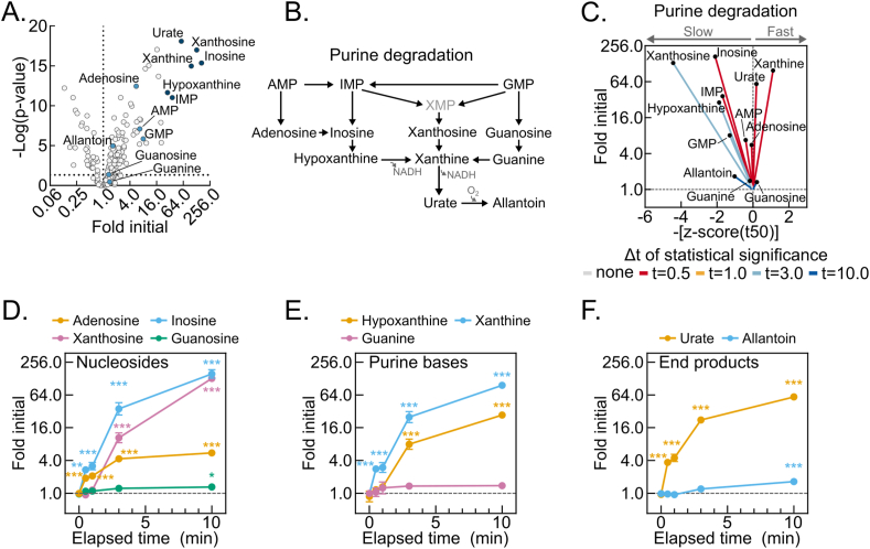 Figure 4