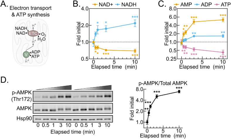 Figure 2