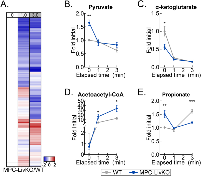 Figure 6