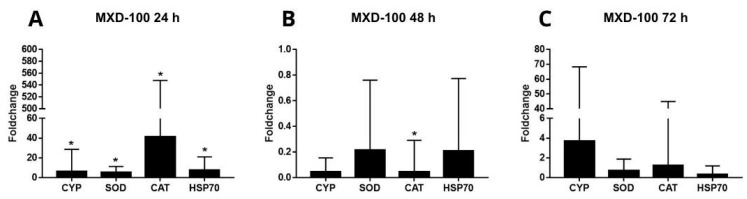 Figure 12