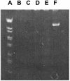 FIG. 2.