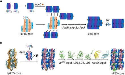 Fig. 1