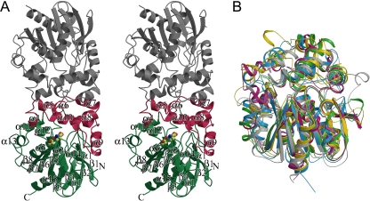 FIG. 2.