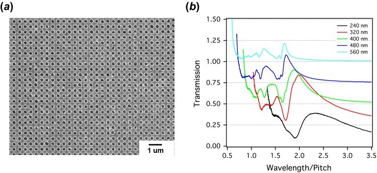 Figure 2. 