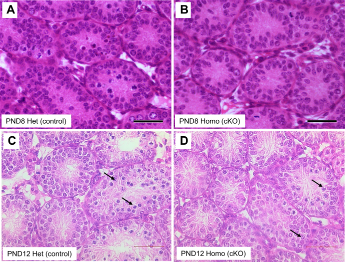 Figure 6