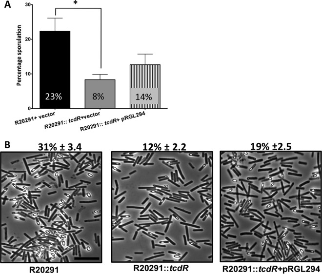 FIG 2 