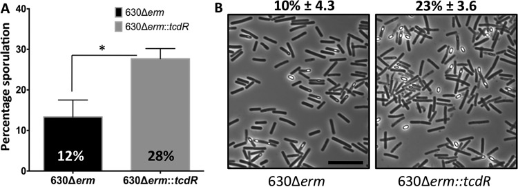 FIG 6 