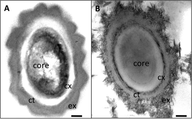 FIG 5 