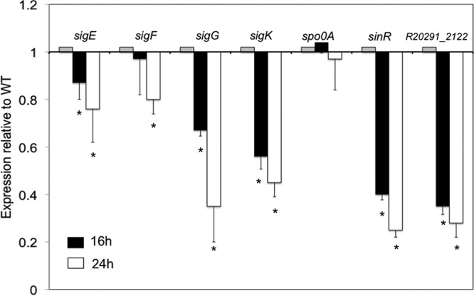 FIG 3 