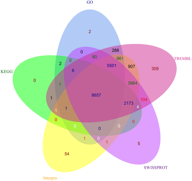 Figure 1: