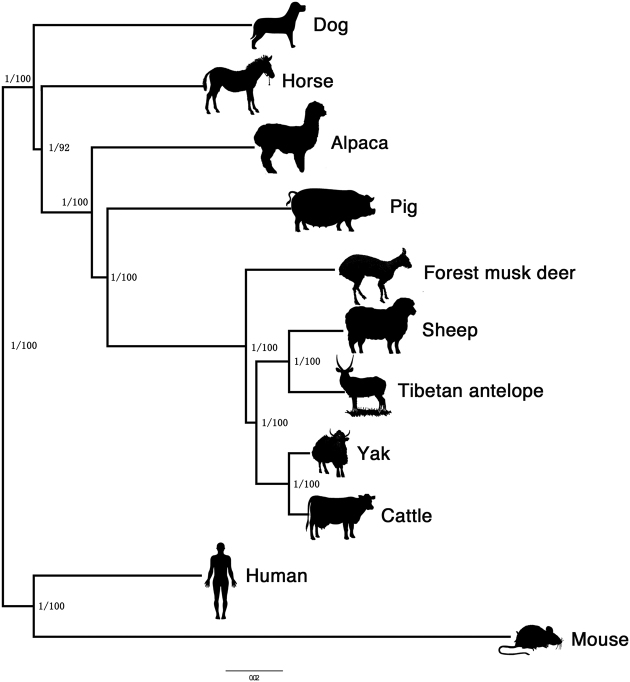 Figure 2: