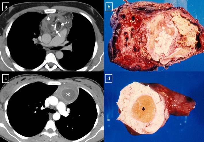 Fig. 26