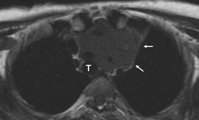 Fig. 24