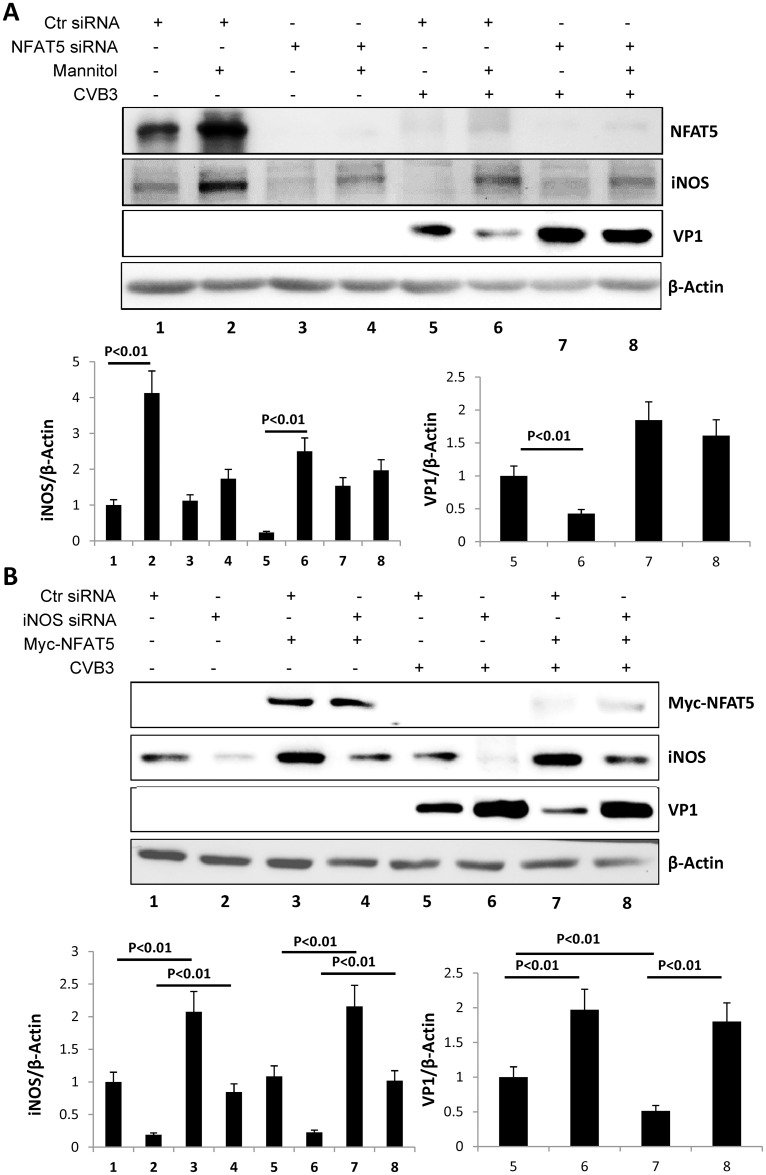 Fig 8