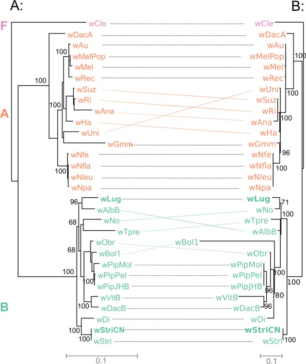 Fig. 7