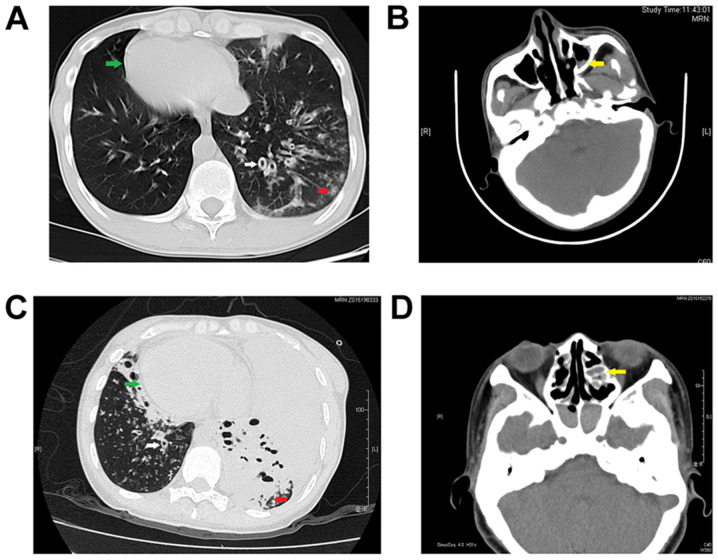 Figure 1.