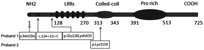 Figure 6.