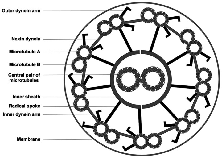 Figure 3.