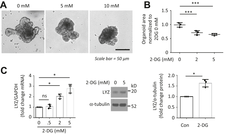 Figure 6