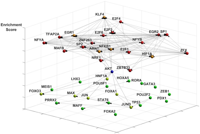 FIGURE 1