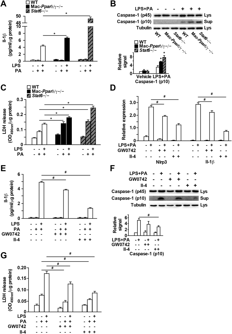 Figure 4