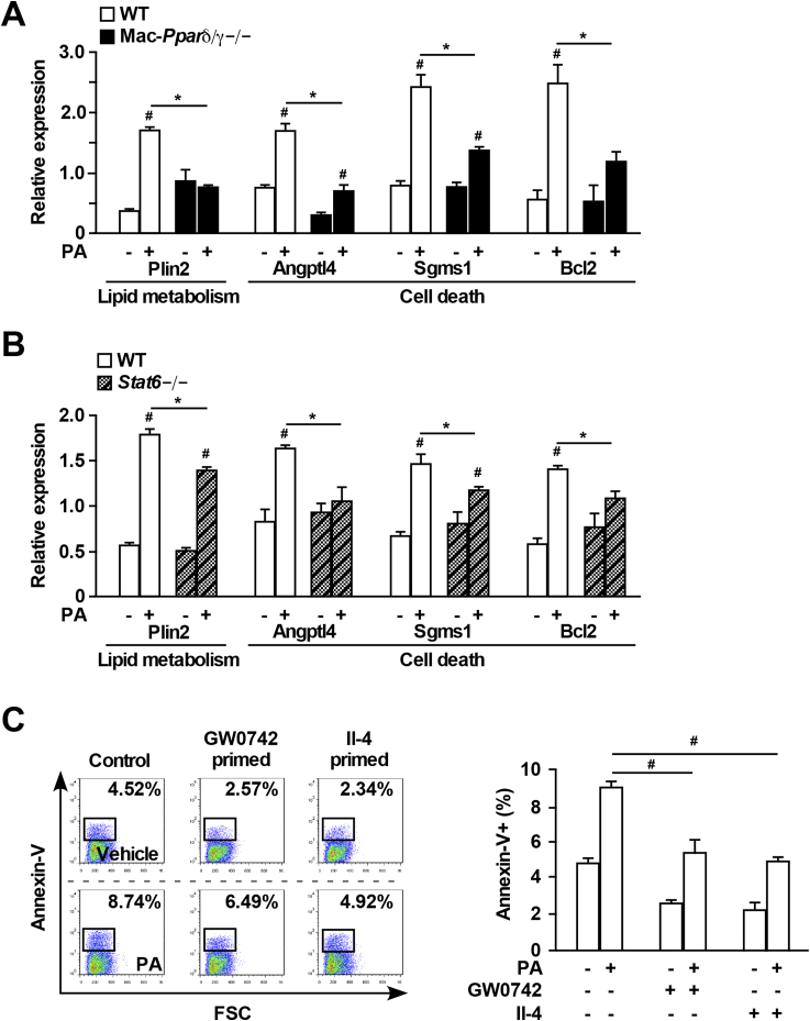 Figure 3