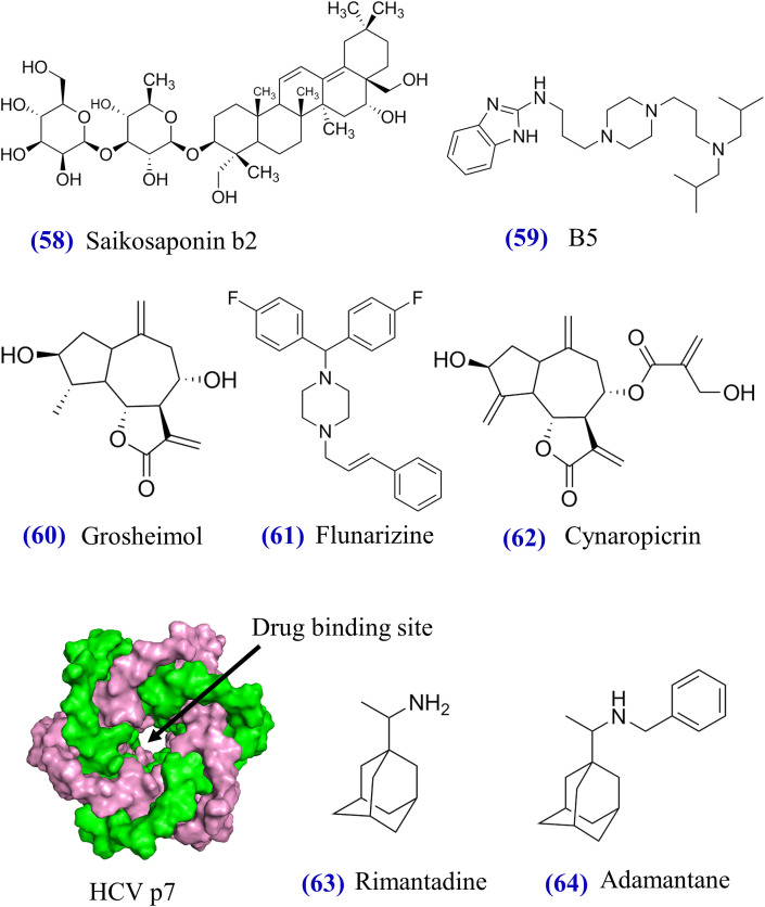 Fig. 7