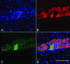 FIG. 4.