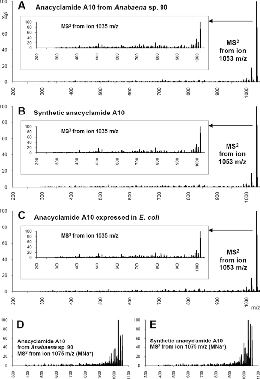 FIG. 6.