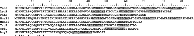 FIG. 2.