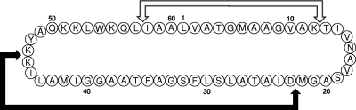 FIG. 3.