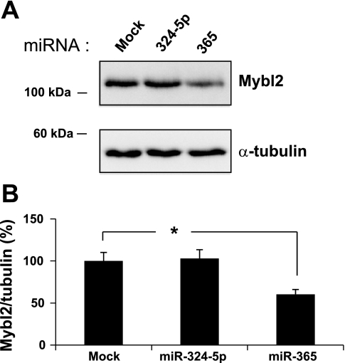 Fig. 10.