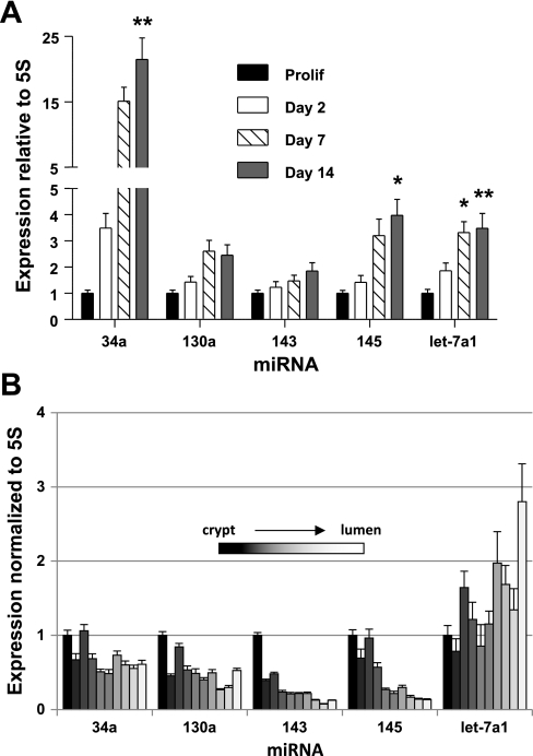 Fig. 9.