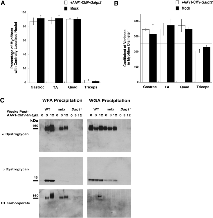 Figure 12