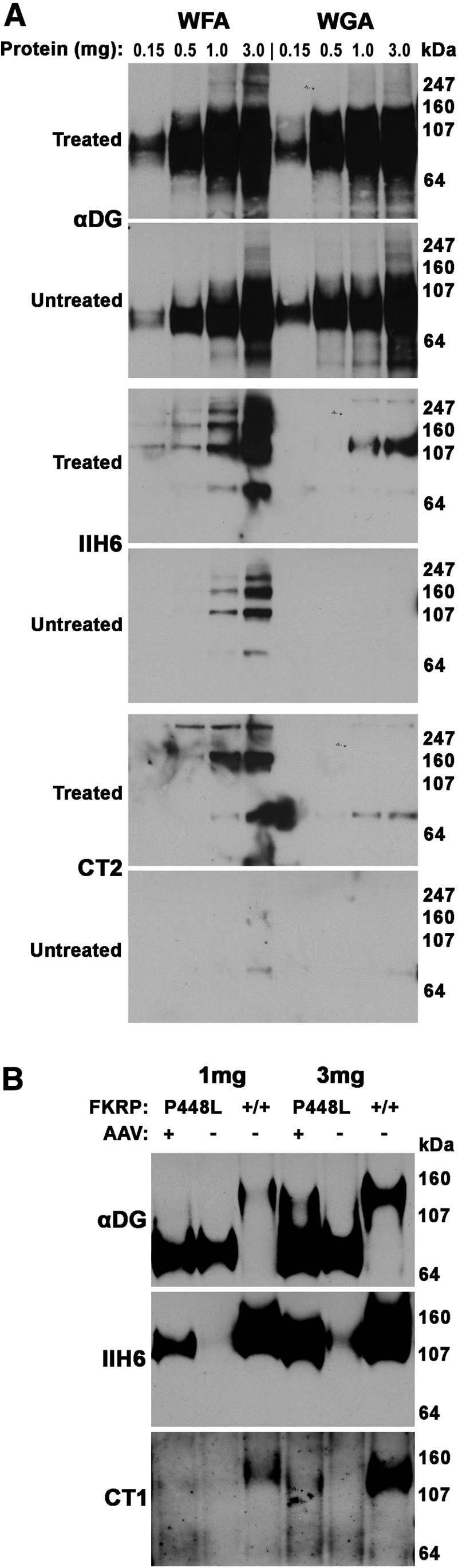 Figure 7