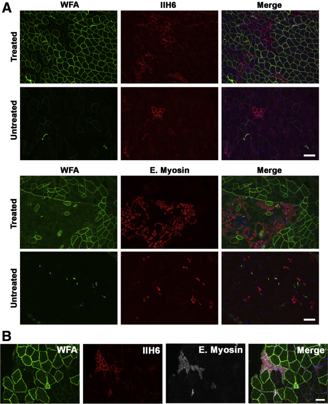 Figure 6