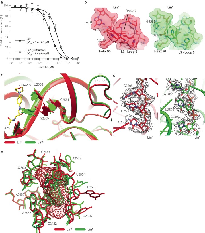 FIG 2 