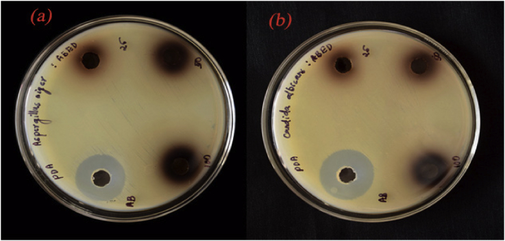 Figure 12