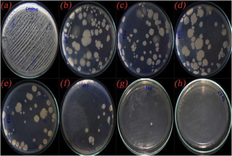 Figure 13