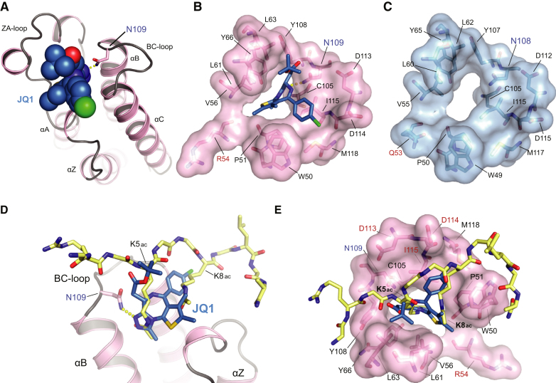 Figure 2