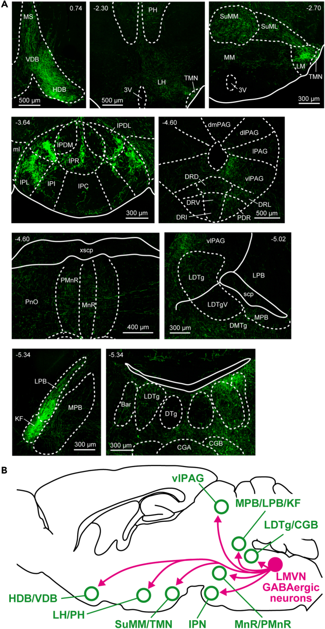 Figure 6