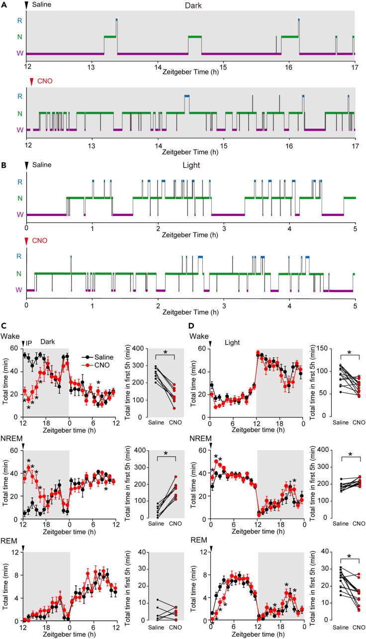 Figure 2