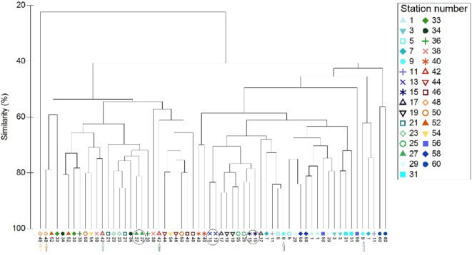 Figure 7