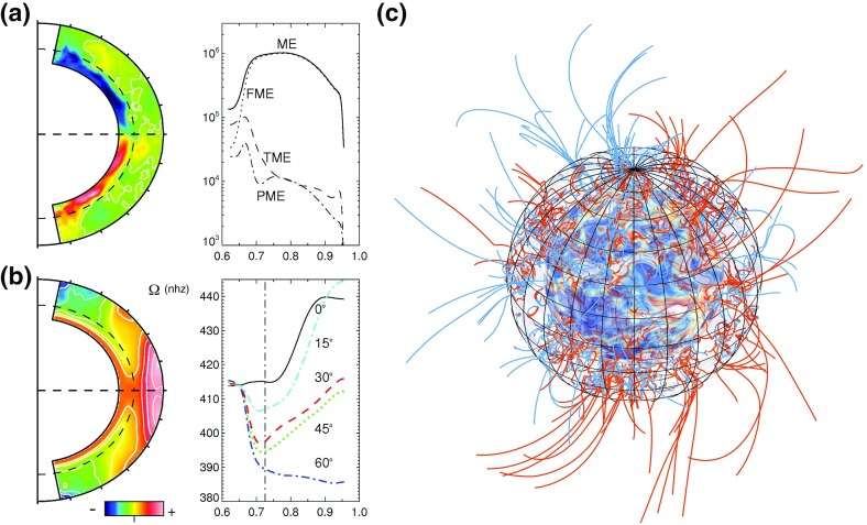 Fig. 31