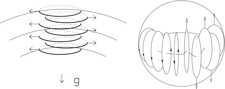 Fig. 22