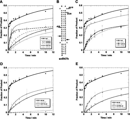 FIGURE 4.